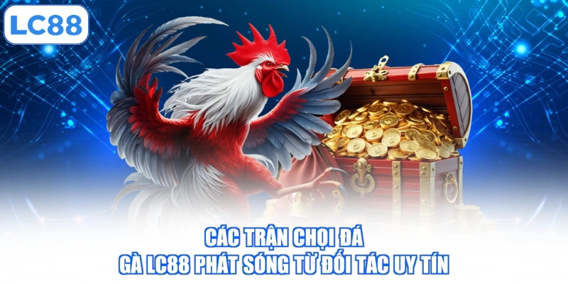 Các trận chọi đá gà LC88 phát sóng từ đối tác uy tín