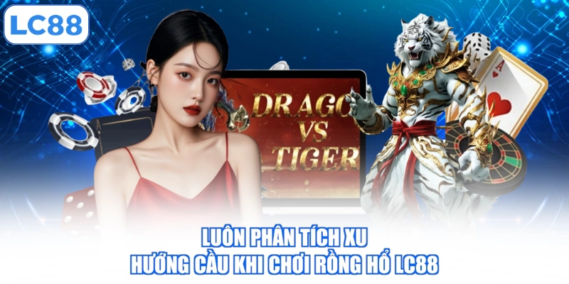 Luôn phân tích xu hướng cầu khi chơi Rồng Hổ LC88