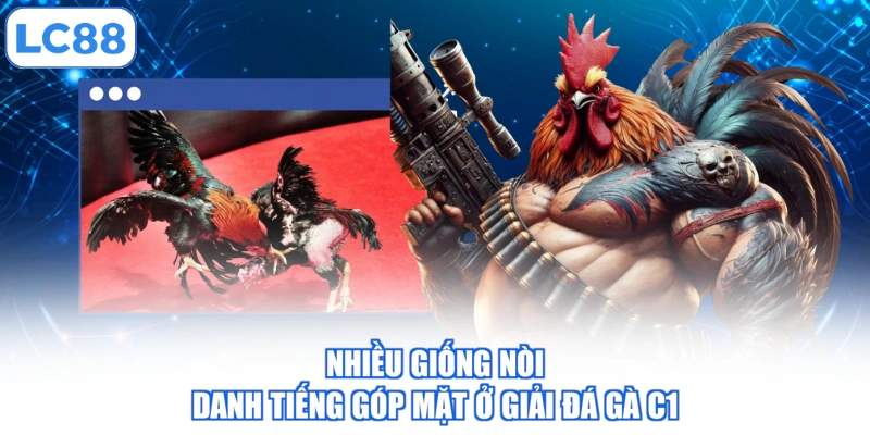 Nhiều giống nòi danh tiếng góp mặt ở giải đá gà C1