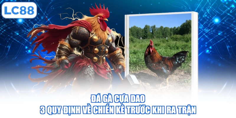 da-ga-cua-dao-3-quy-dinh-ve-chien-ke-truoc-khi-ra-tran