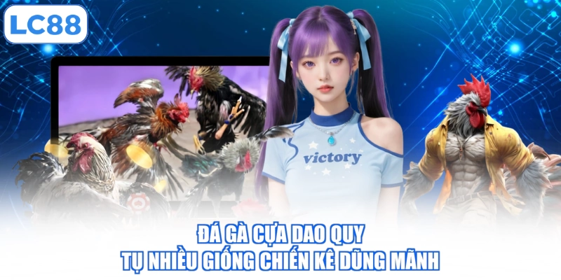 da-ga-cua-dao-quy-tu-nhieu-giong-chien-ke-dung-manh